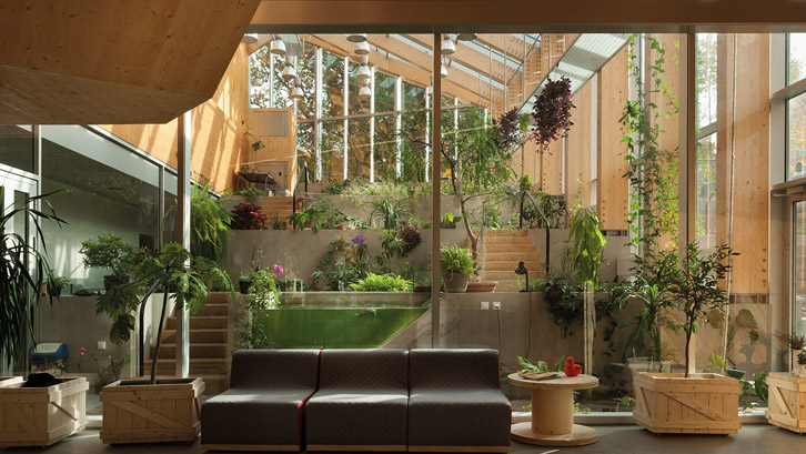 Rumah Biofilik